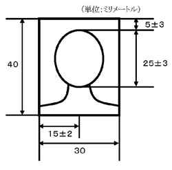 照片规格示意图