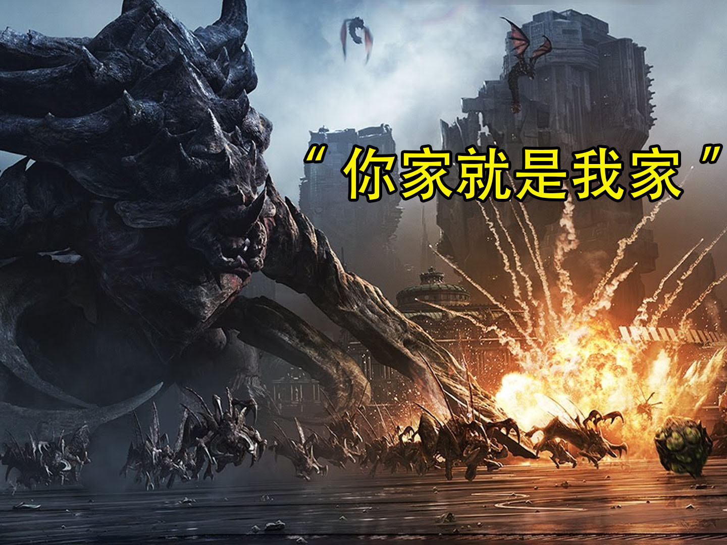 浴室小飞虫的窝让我端了