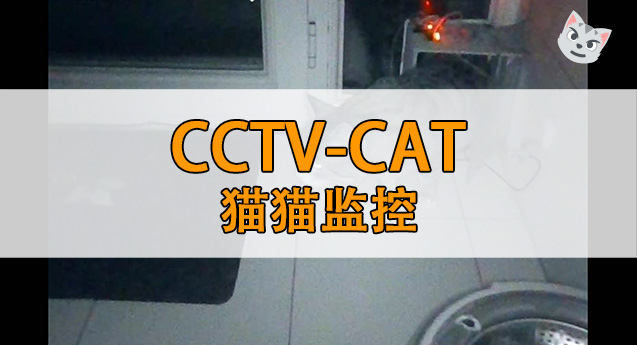 CAT_CCTV